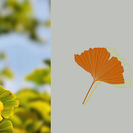 温泉vi设计温泉设计案例