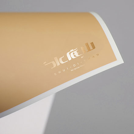 改进公司vi设计精微细节