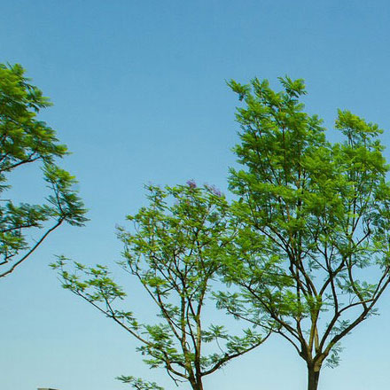 深圳vi设计公司，vi设计如何适应无常的市场环境？