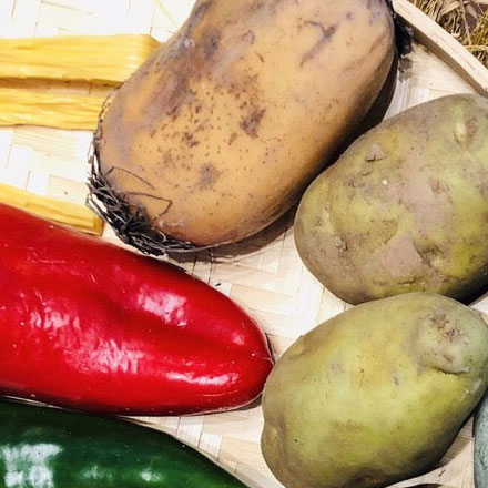 温泉vi设计字体设计指南