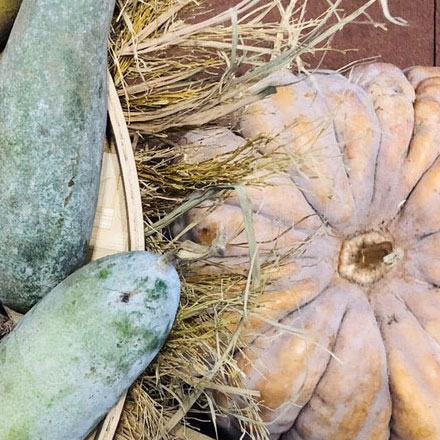 深圳vi设计公司，拥有国际视野的设计团队。