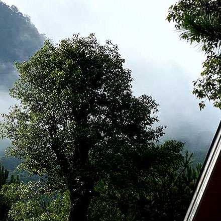 为概念餐厅设计体验标志,食物的剧场