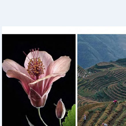 为轨道酒店品牌设计“绕地旅行”标识,太空观光的印记